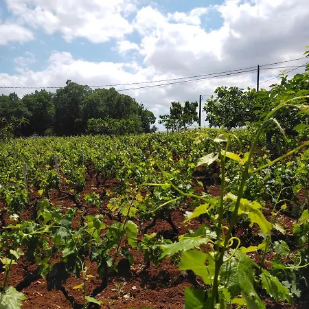 Agro Levita 3*